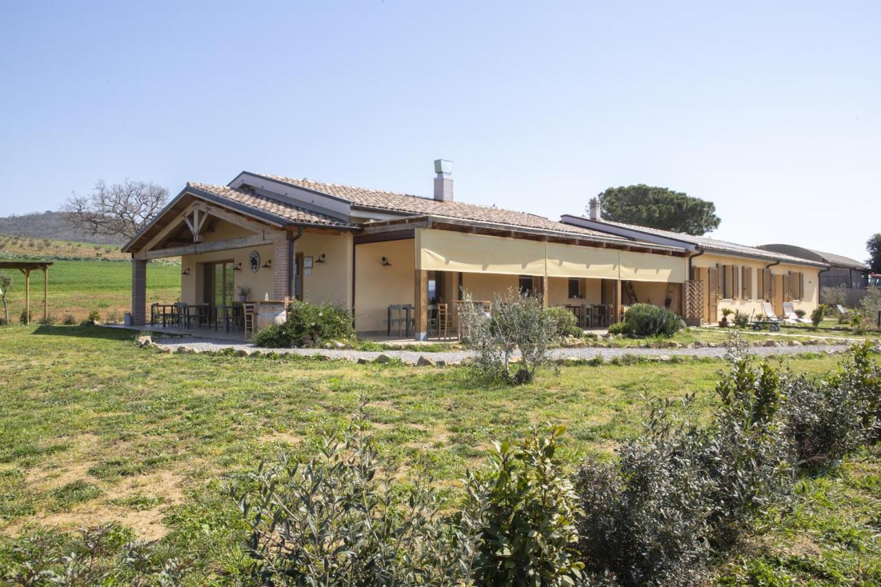 Agriturismo Casa Ricci 马利亚诺因托斯卡纳 外观 照片
