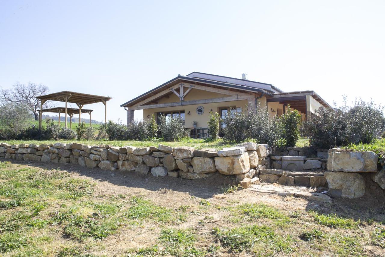 Agriturismo Casa Ricci 马利亚诺因托斯卡纳 外观 照片