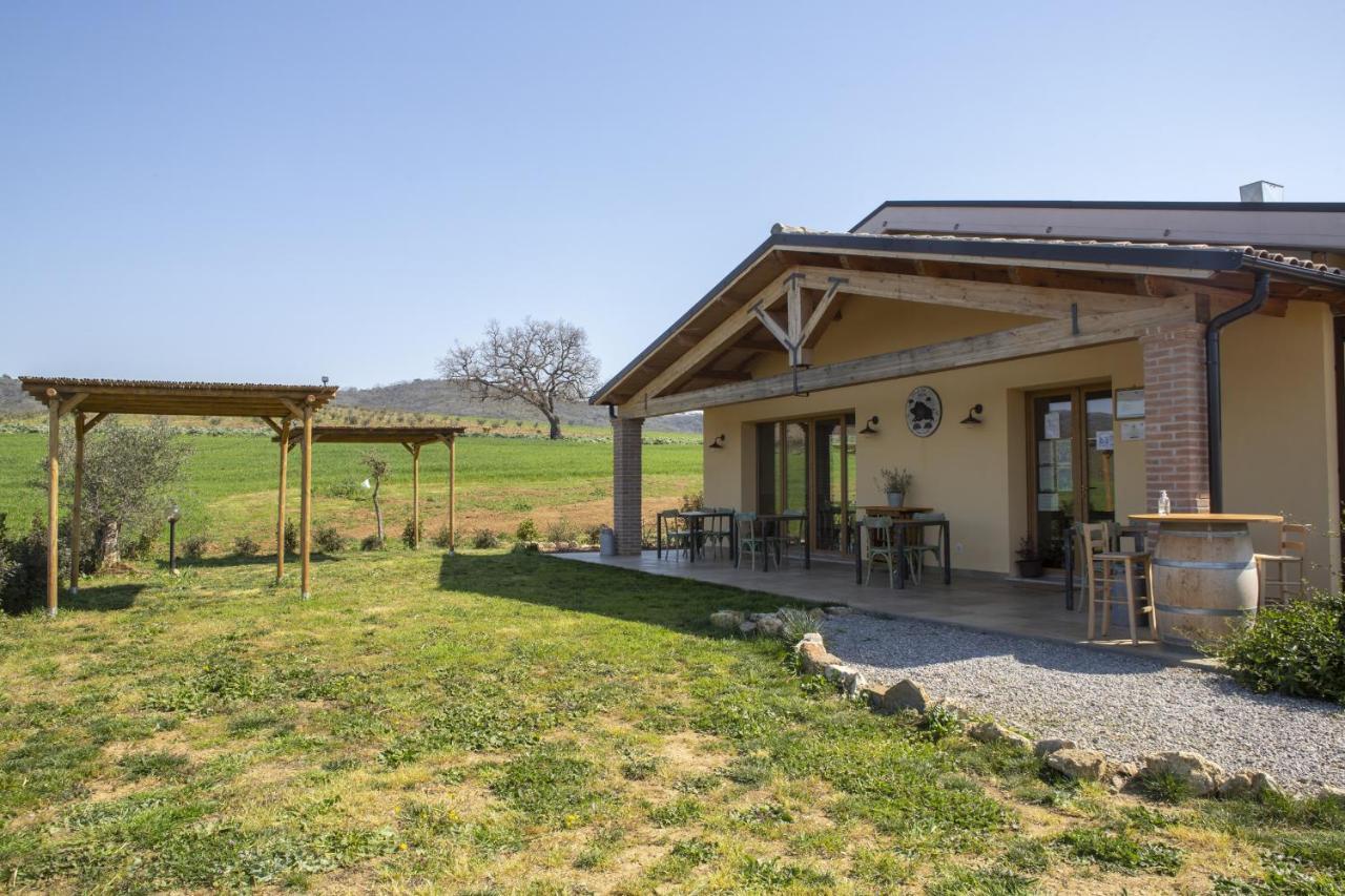 Agriturismo Casa Ricci 马利亚诺因托斯卡纳 外观 照片