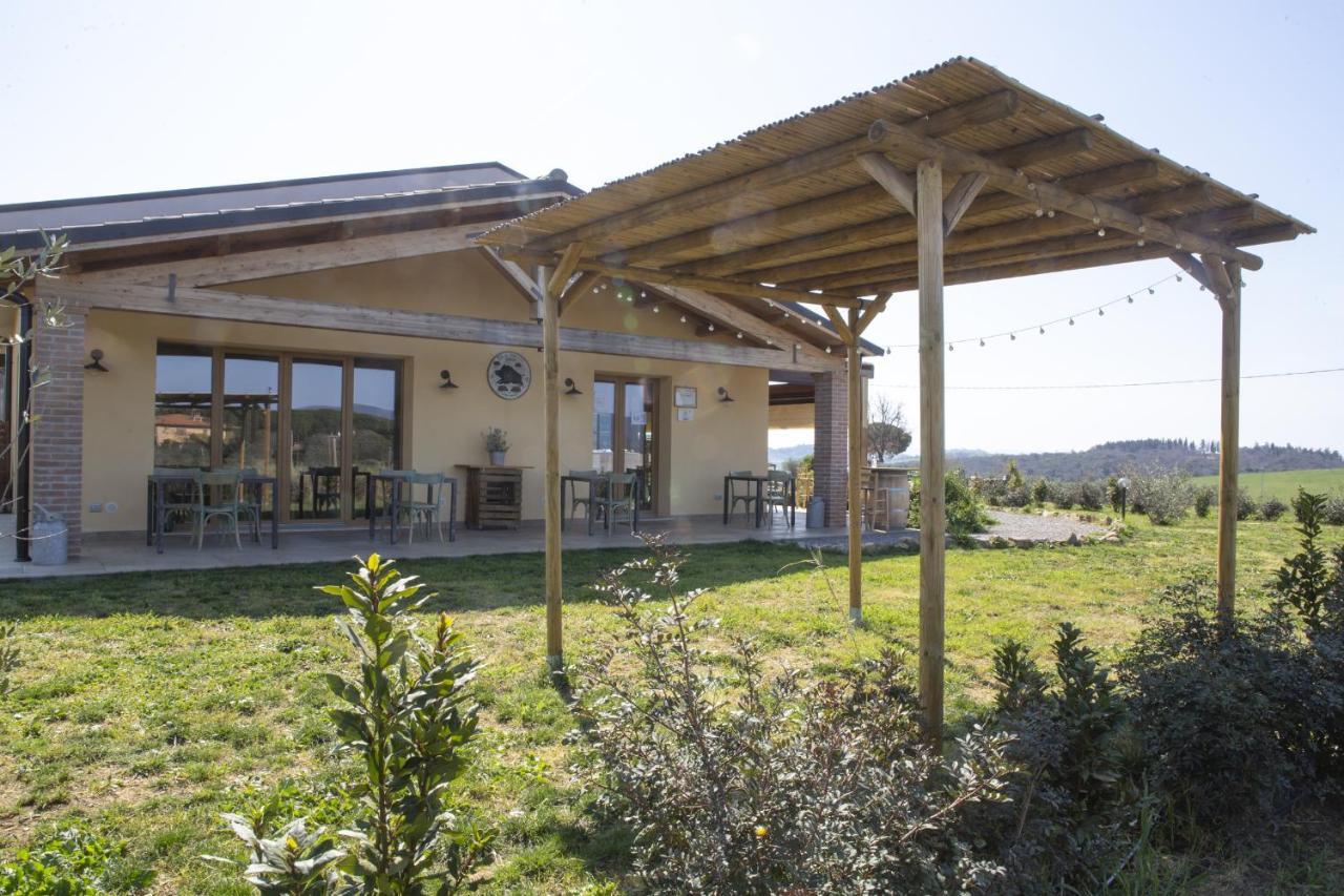 Agriturismo Casa Ricci 马利亚诺因托斯卡纳 外观 照片