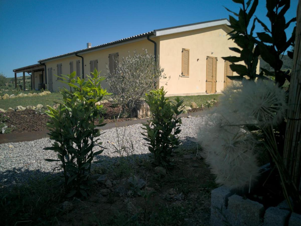 Agriturismo Casa Ricci 马利亚诺因托斯卡纳 外观 照片