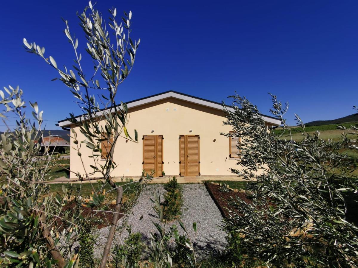 Agriturismo Casa Ricci 马利亚诺因托斯卡纳 外观 照片