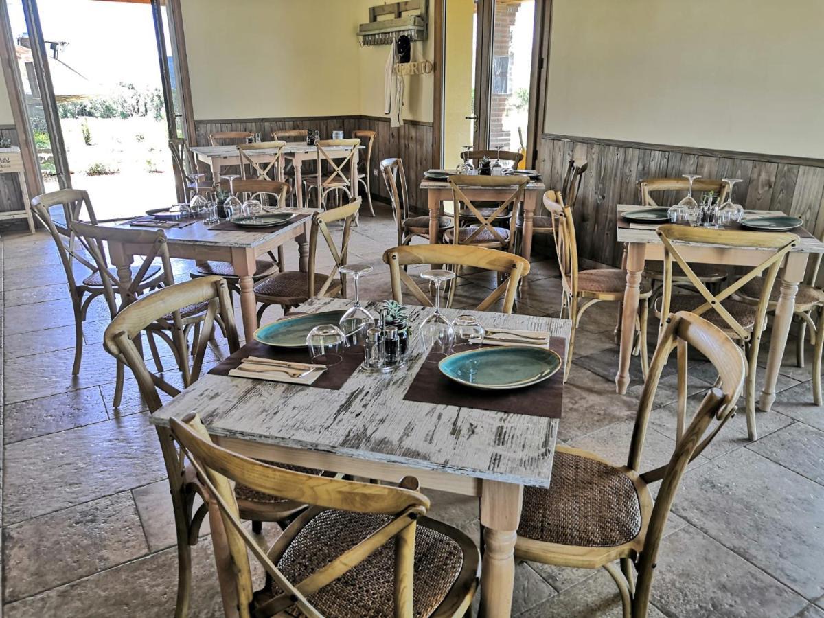 Agriturismo Casa Ricci 马利亚诺因托斯卡纳 外观 照片