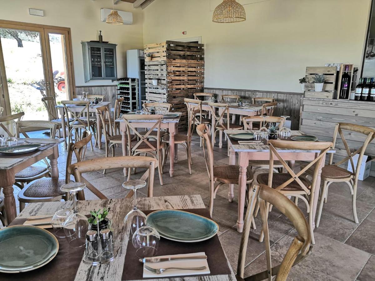 Agriturismo Casa Ricci 马利亚诺因托斯卡纳 外观 照片